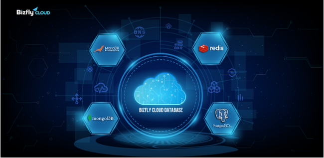 Database hosting là gì? - Ảnh 2.